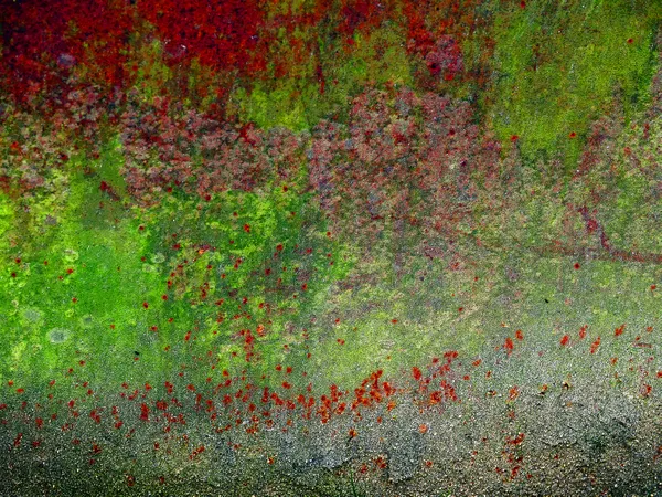 Imaginary landscape thumbnail