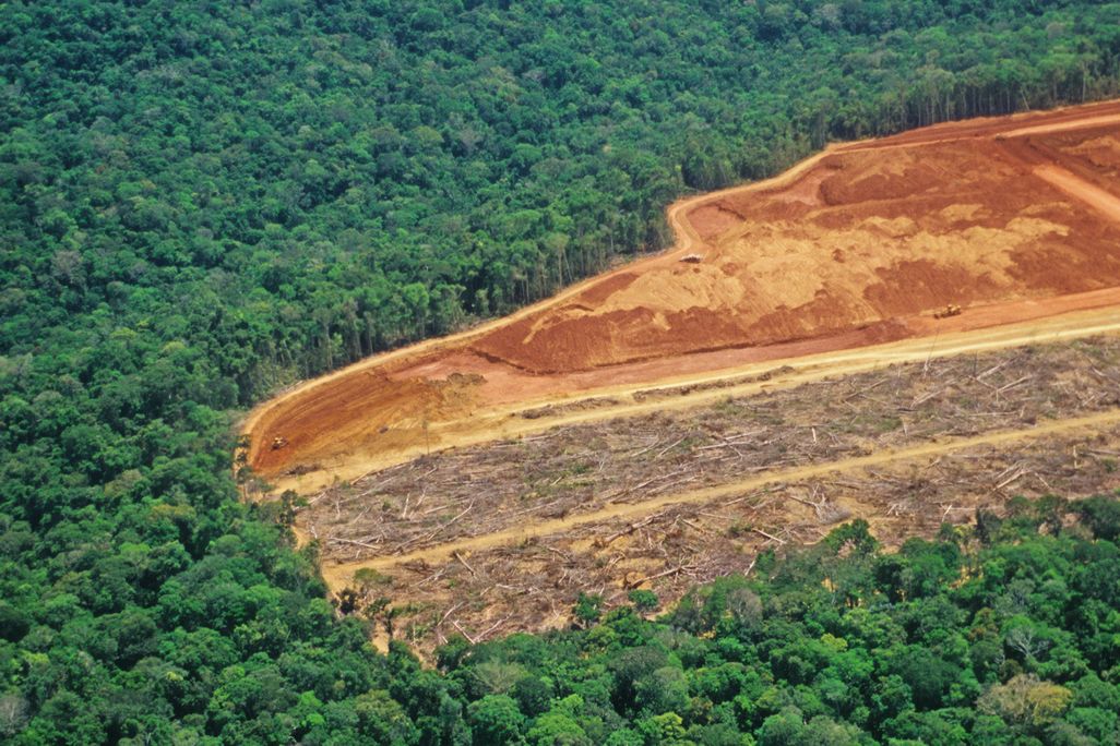 A deforested region of the Amazon rainforest