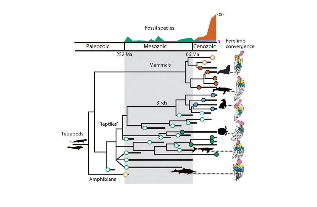 Summary Figure