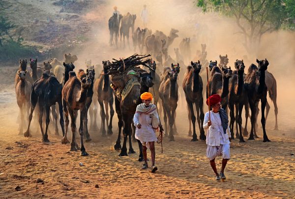 LONG WAY TO GO thumbnail