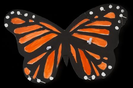 Monarch wings.jpg