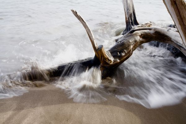 water swirls over driftwood thumbnail