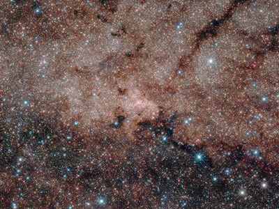 Just some of the stars at the center of our own galaxy, the Milky Way.