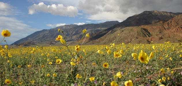 Death Valley, CA