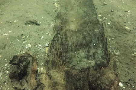 A 3,000-year-old canoe at the bottom of Lake Mendota