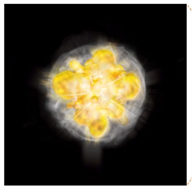 20120803_supernovamain1.jpg