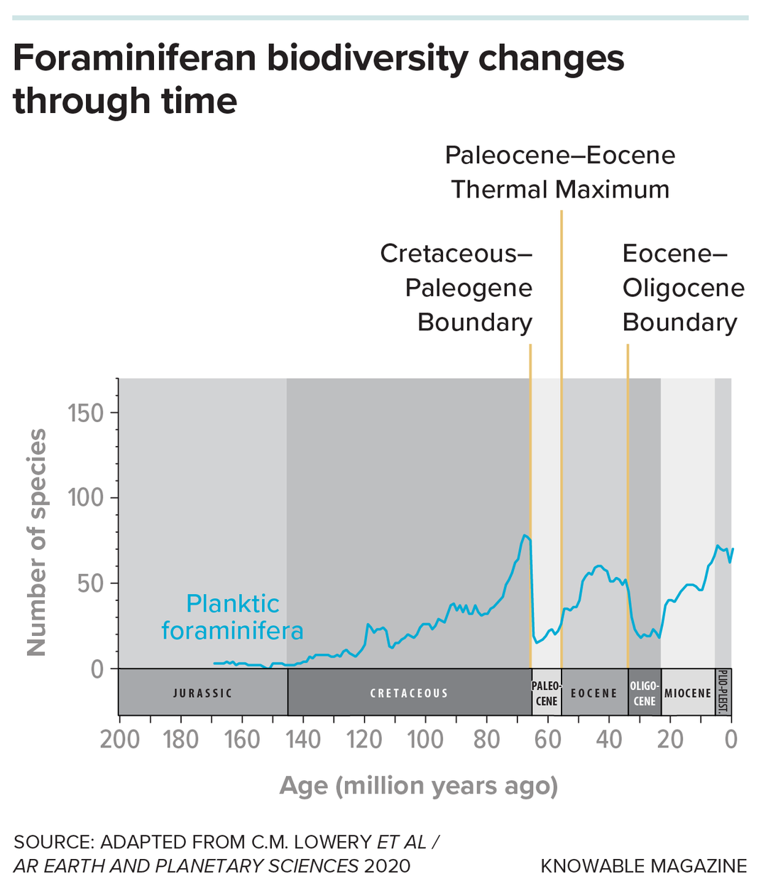 Foraminifera Changes