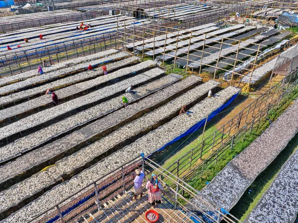 Sun-Dried Fish: A Tradition of Preservation thumbnail