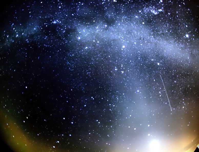 Orionid