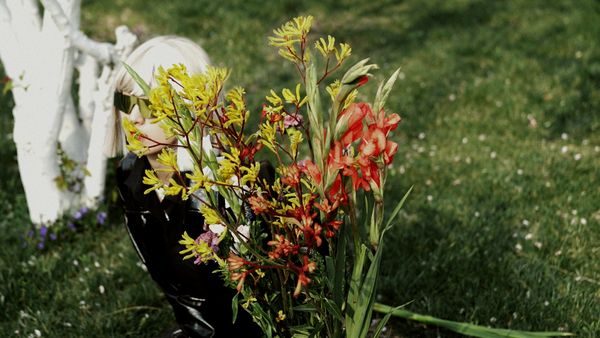 The Vanguard Muse thumbnail