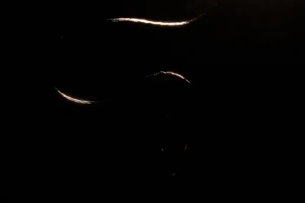 GLOW IN THE DARK thumbnail