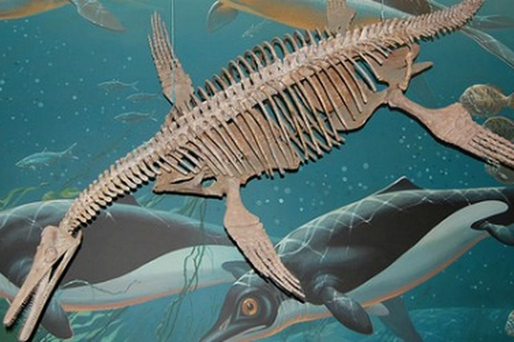 prehistoric creatures