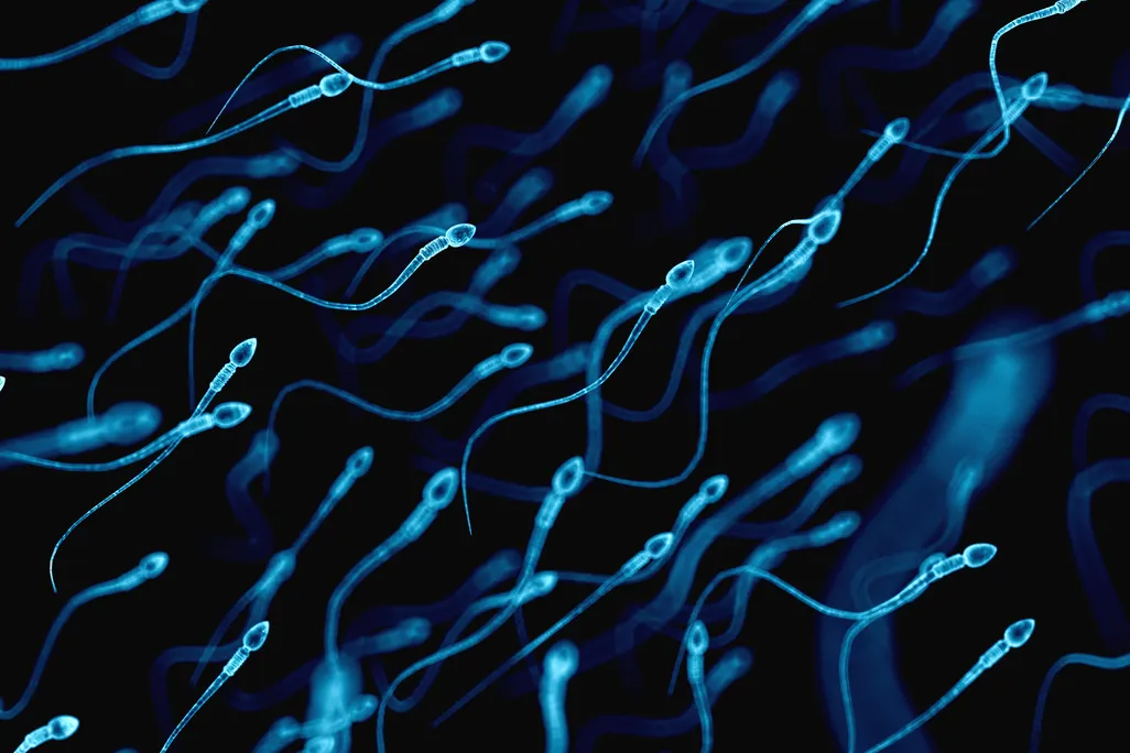 An illustration of dozens of luminescent human sperm on a black backdrop