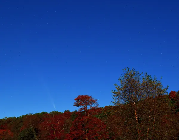 Comet Tsuchinshan-ATLAS and Fall foliage at French Creek State Park thumbnail