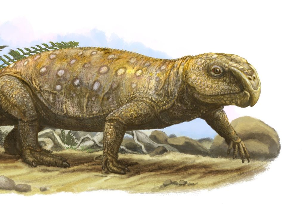 Illustration of rhynchosaur