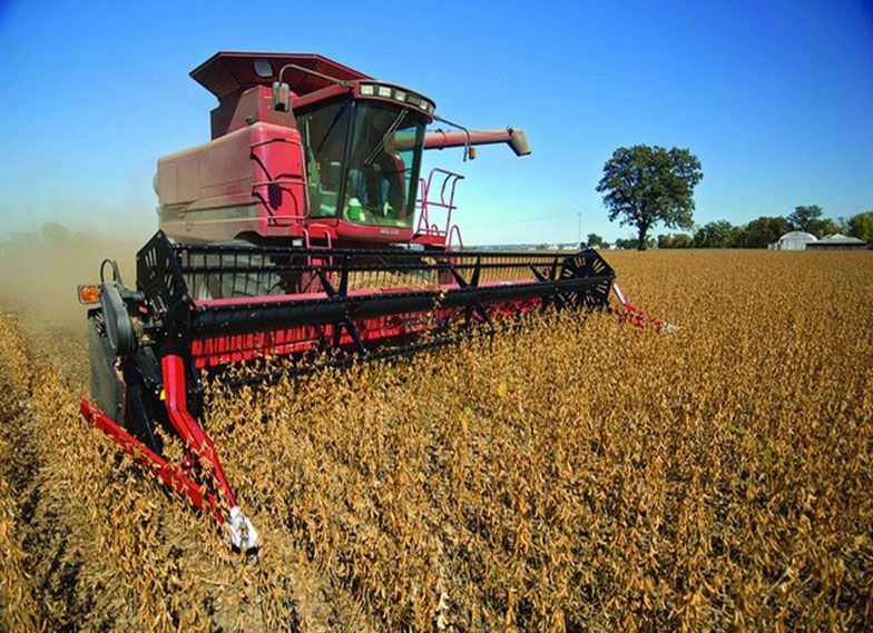 Soybean Harvest