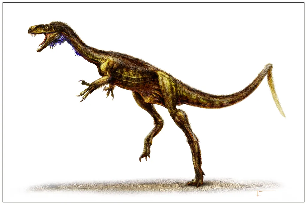 20110520083257eodromaeus-marshall.jpg