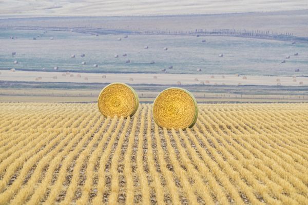 Great Prairie Hay Bales. thumbnail
