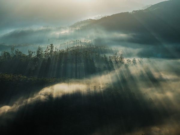 Whispers Of Light thumbnail