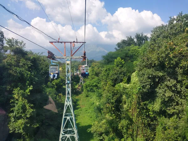 Rope car trip through jungle thumbnail