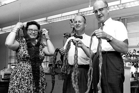 Smithsonian anthropologists hold up the world’s longest beard after it was donated to the National Museum of Natural History in 1967.