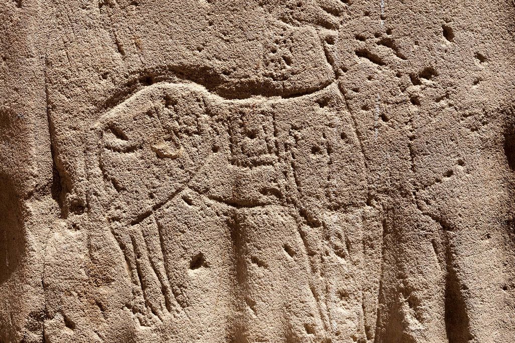 a horse shaped animal carved into a rock wall