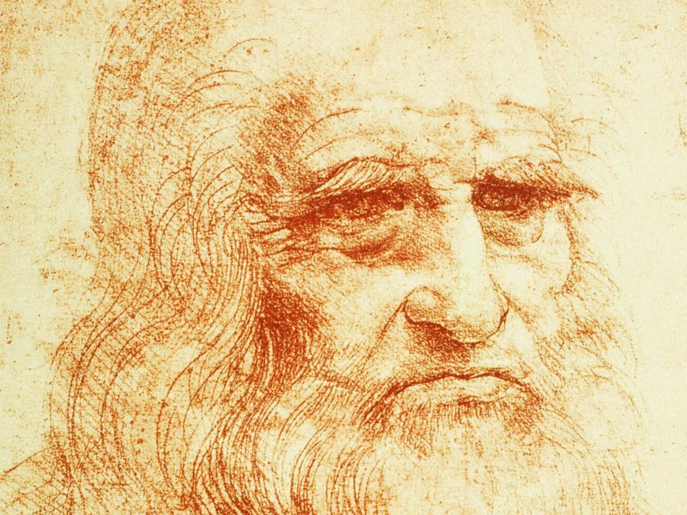 Leonardo Portrait
