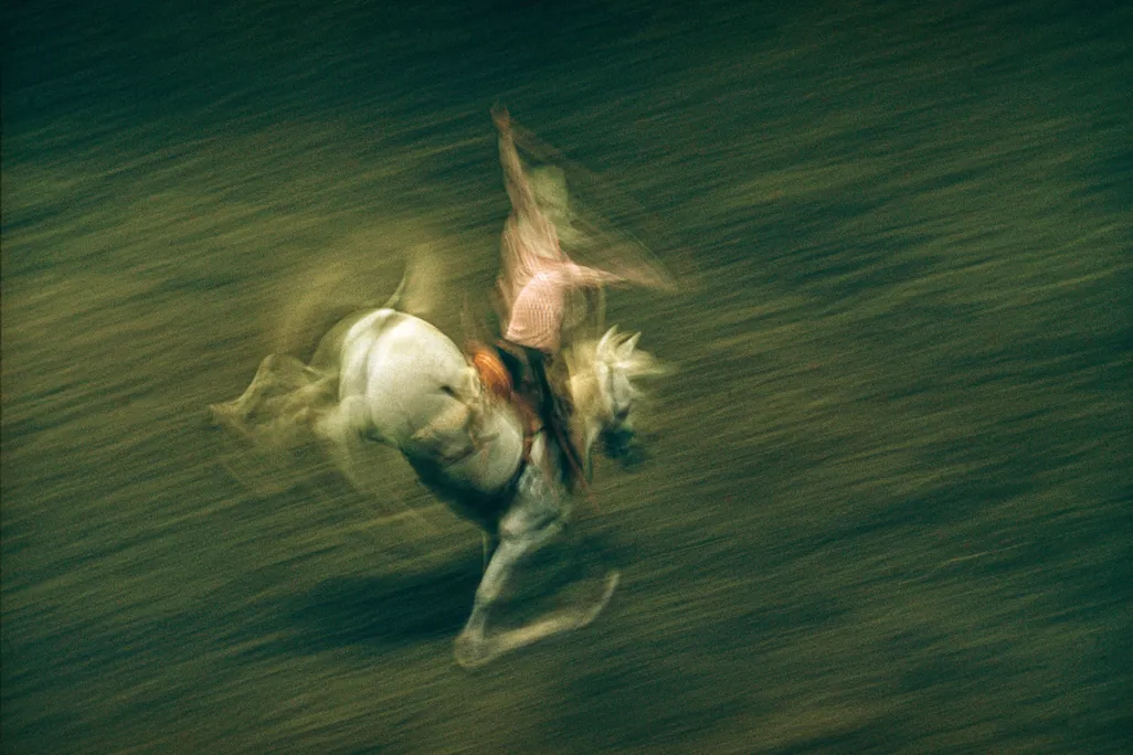 A rider holds onto a bucking horse