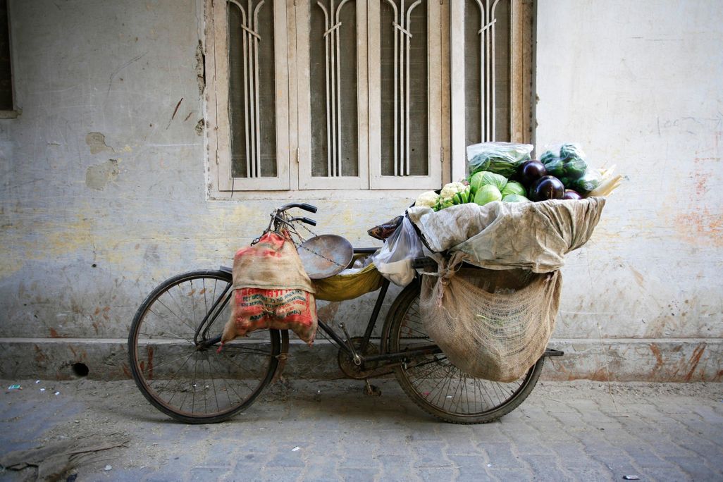 Delhi Street Vendor