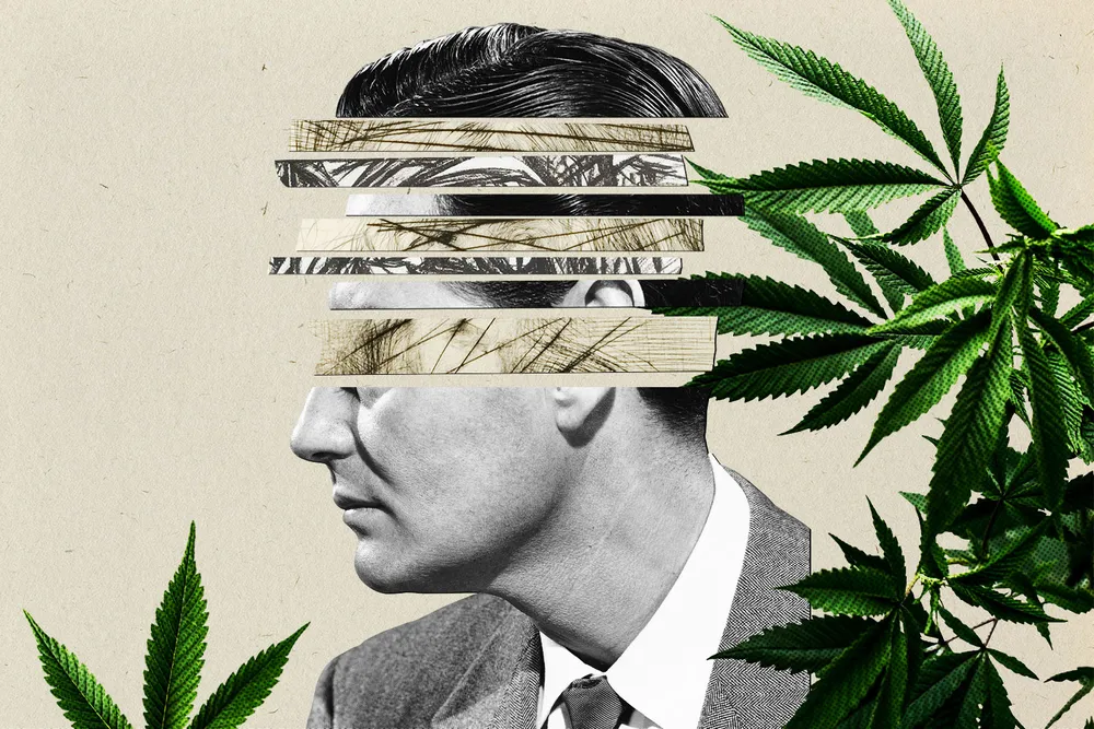 Cannabis and Schizophrenia Graphic