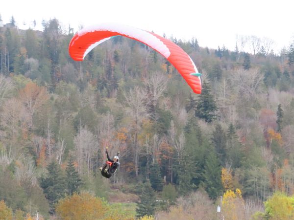 Autumn Paragliding thumbnail