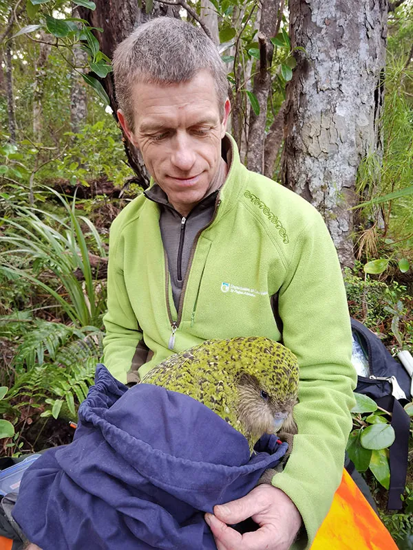 Kakapo With Scientist