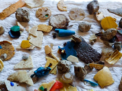Some of the plastic trash pulled from the stomachs of flesh-footed shearwater chicks.