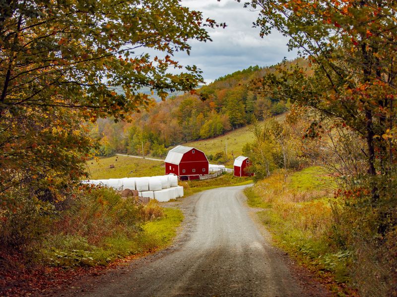 Fall Foliage Around A Farm Smithsonian Photo Contest Smithsonian