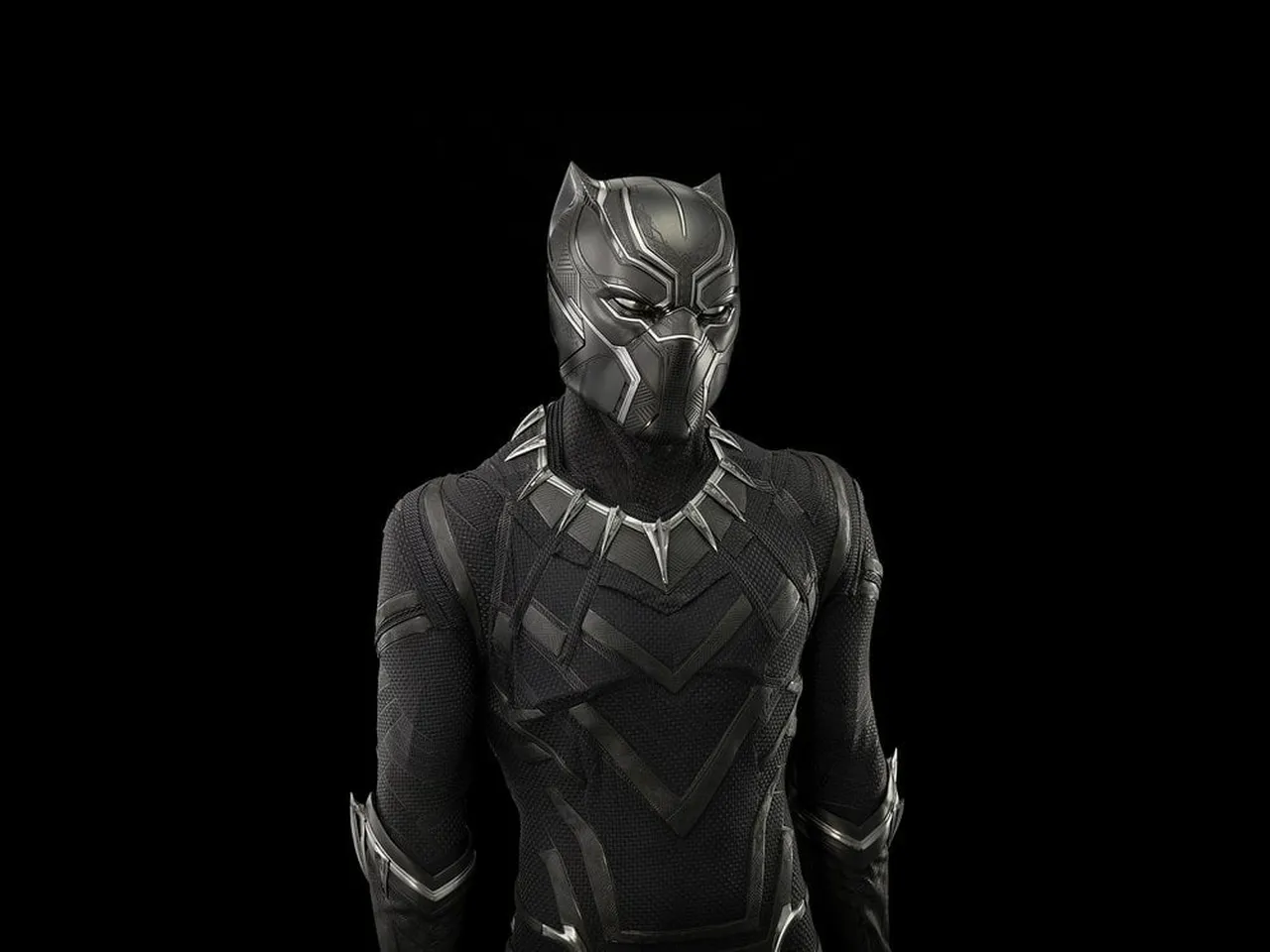 blackpantherhabit.jpeg