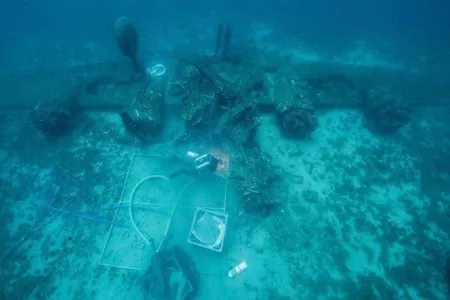 On December 17, 1944 the bomber crashed into the Adriatic sea.