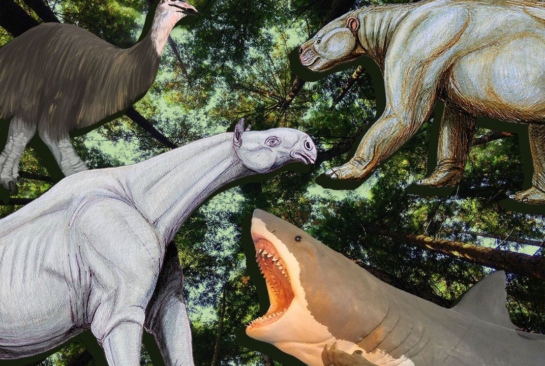 9,002 Dinosaur High Res Illustrations - Getty Images