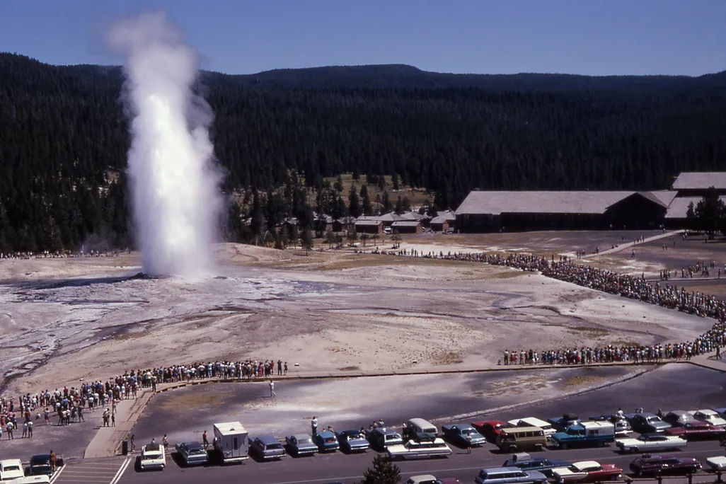 Old Faithful in Yellowstone National Park