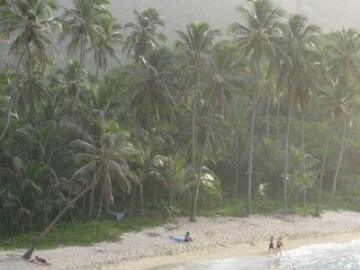 A beach in Tayrona National Park, on Colombia’s Caribbean coast.