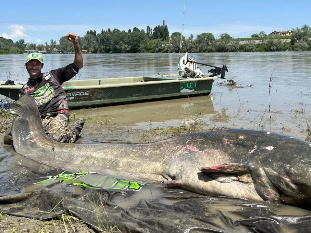 Man with huge catfish next to river