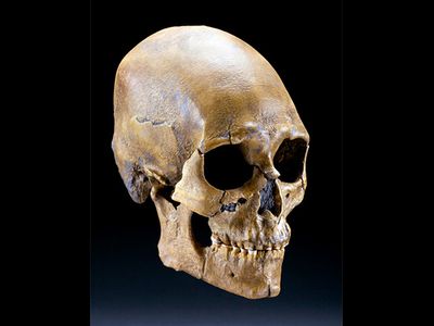 Previous analysis of the Kennewick Man's skull suggested that he might be closely related to Asian populations and Polynesians. But new genetic analysis indicates his ancestral roots are in the Americas.