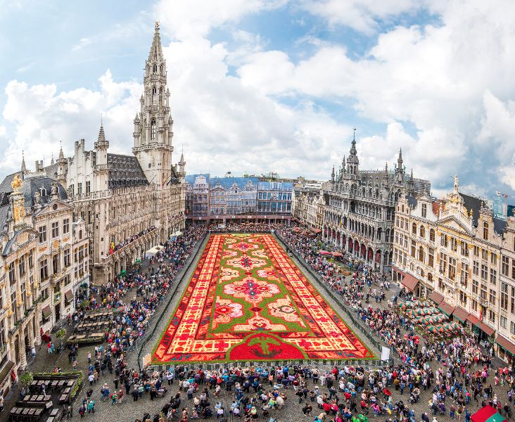 Flower Carpet