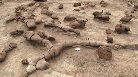 The “Morphotype 1″ tunnel complex: points marked “a” represent tunnels, and points marked “b” signify vertical shafts.