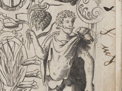 Detail from The herball, or, Generall historie of plantes gathered by John Gerarde, purportedly depicting Shakespeare. 