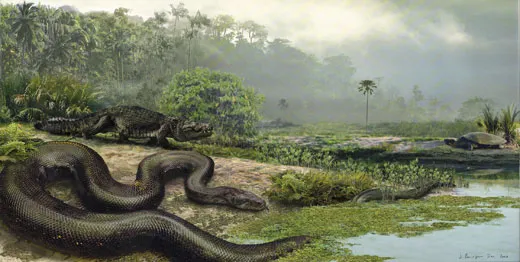 How Titanoboa, the 40-Foot-Long Snake, Was Found