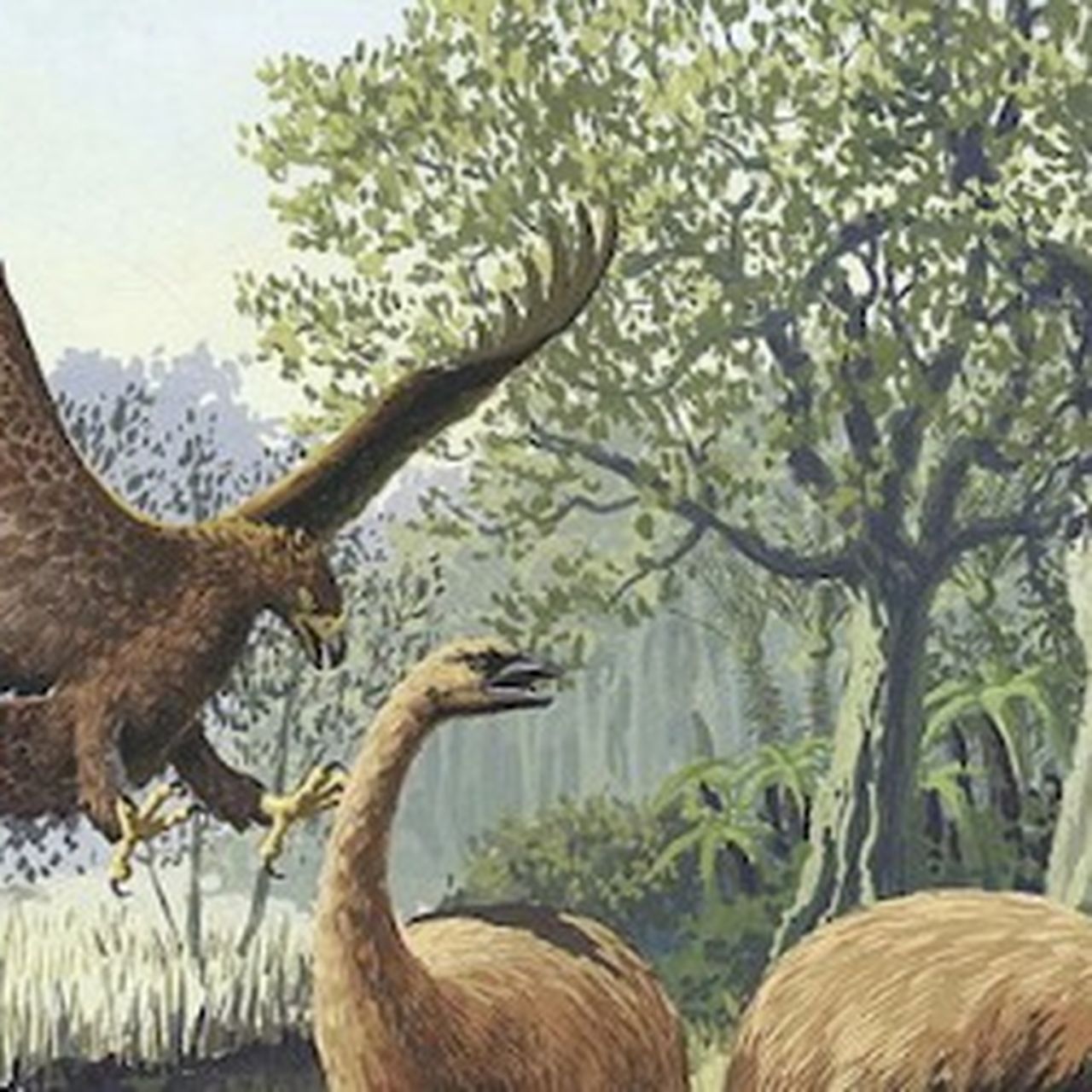 Which Is The Giant Bird