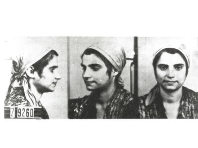 Roma or Sinti girl imprisoned in Auschwitz, as seen in pictures taken by the SS for their files