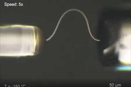 A thin strand of ice seen through a microscope in the process of bending under pressure. When the pressure is released the ice strand will spring back to its original shape.