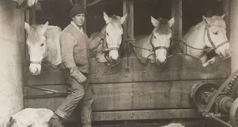 Captain Lawrence "Titus" Oates with ponies