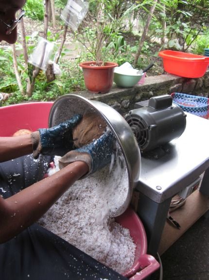 Coconuts are ground into shavings half a nut at a time.